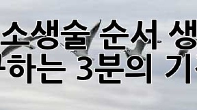 심폐소생술 순서: 생명을 구하는 3분의 기적