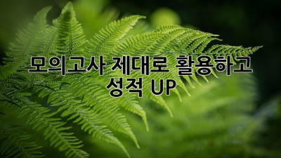 모의고사, 제대로 활용하고 성적 UP!